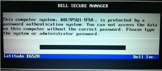 dell 1f5a bios password