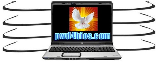 Dell Bios password reset